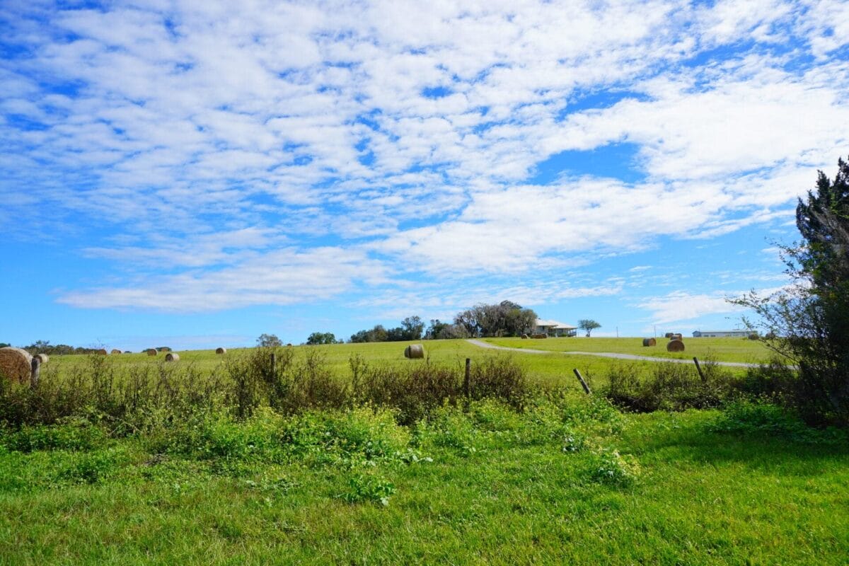 Central Florida Pasture